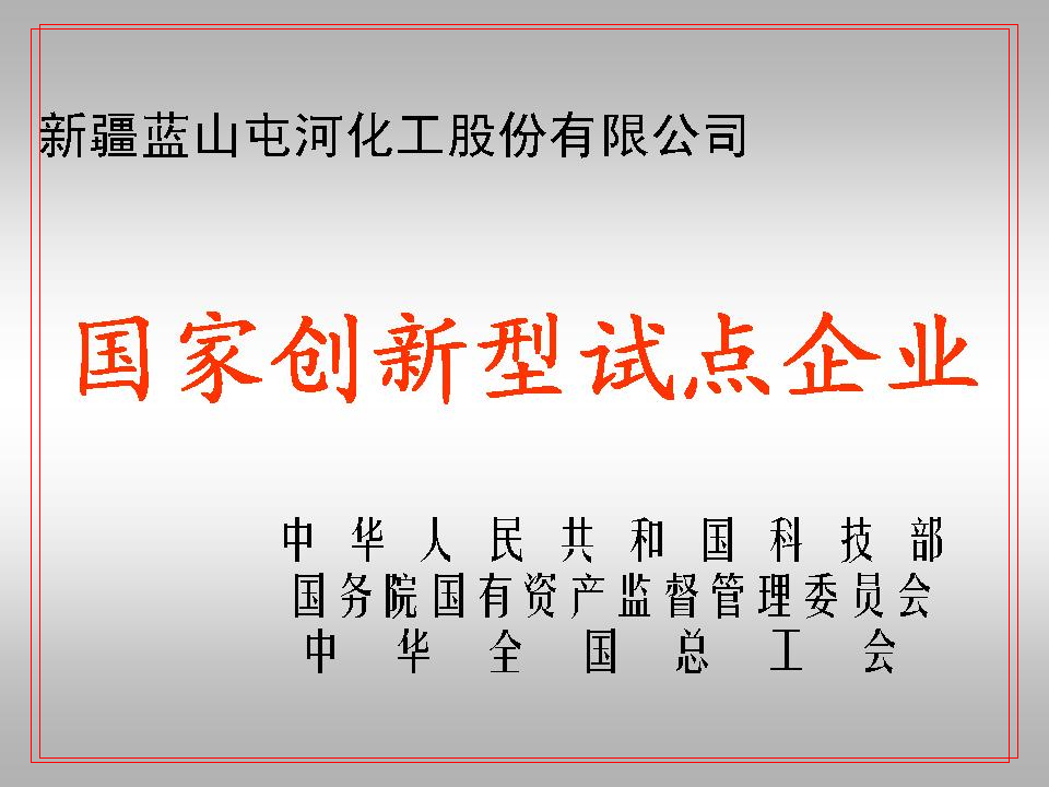國(guó)家創(chuàng)新型試點(diǎn)企業(yè)