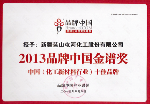 2013品牌中國(guó)金譜獎(jiǎng)
