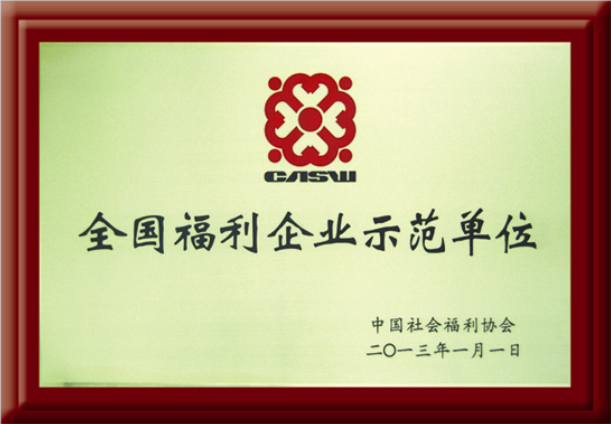 全國(guó)福利企業(yè)示范單位