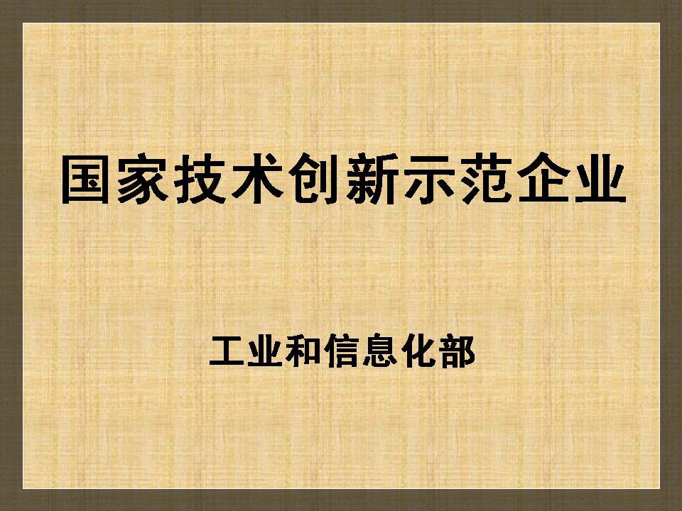 國(guó)家技術(shù)創(chuàng)新示范企業(yè)